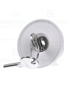 Încuietoare cu 2 chei pentru tablouri Hager Univers seria FWB, FZ597N