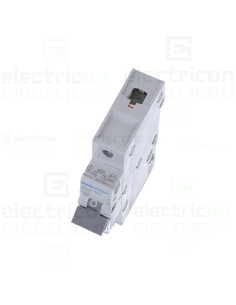 Intrerupator MCB BN/AA Hager - MBN120 2