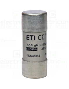 Siguranta fuzibila CH 22x58