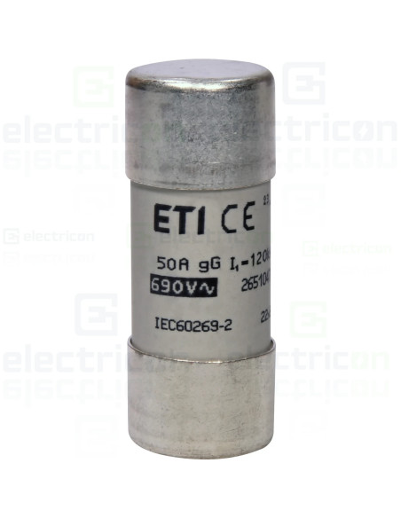 Siguranta fuzibila CH 22x58