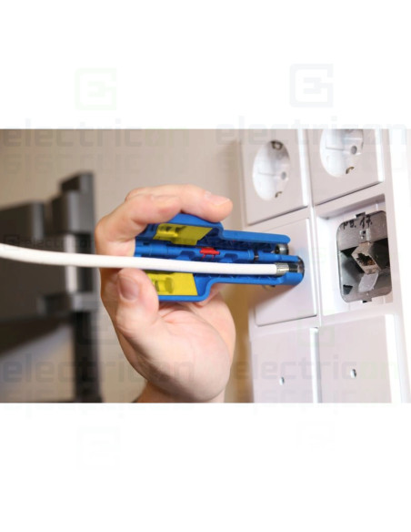 inclusiv asistenta la dezrasucire